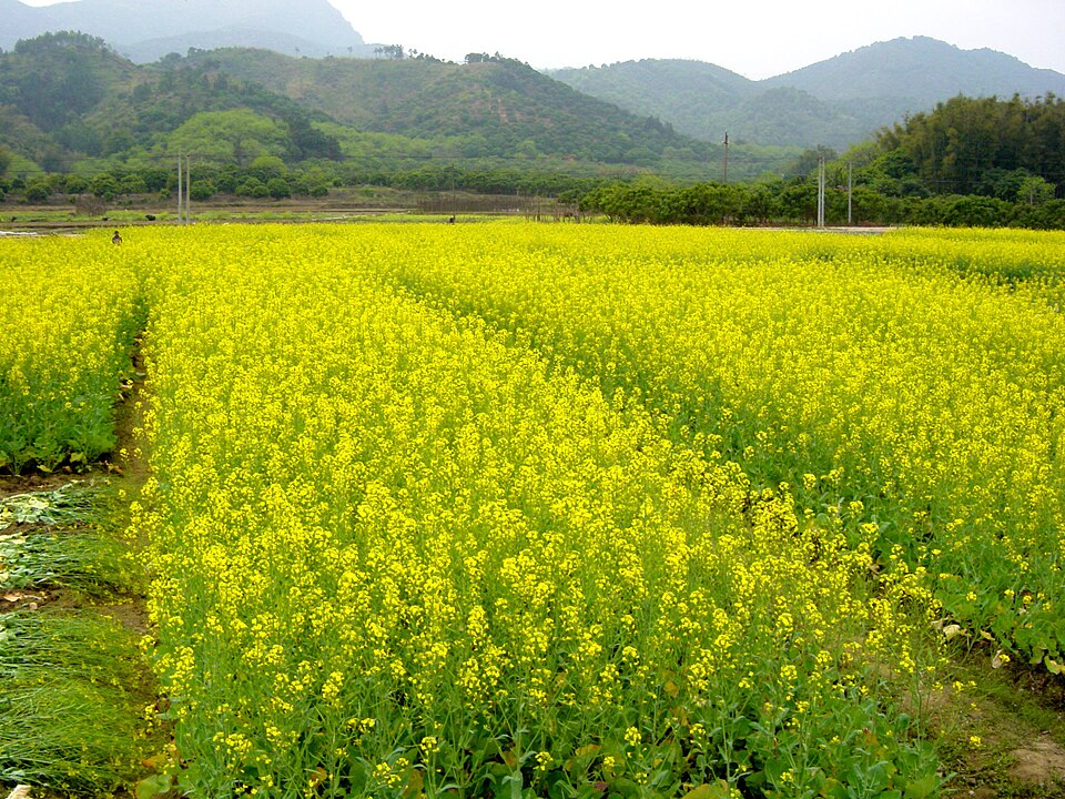 南昆山
